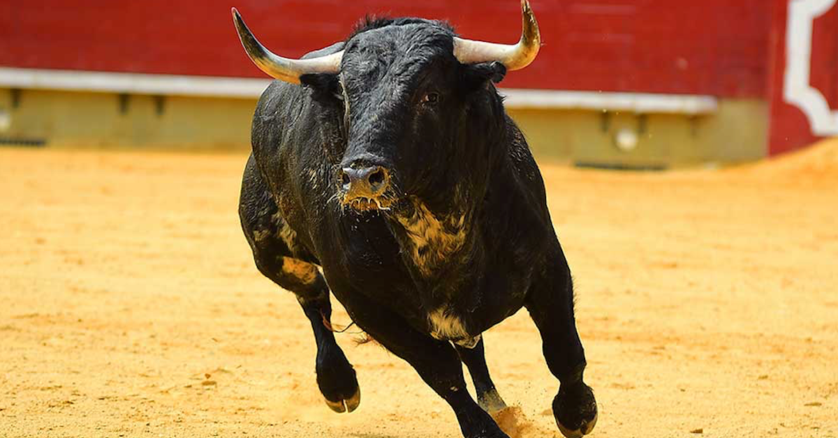 Phân tích cơ bản crypto tuần 12/08-19/08: Sự quay trở lại của đàn bò, nhưng Altcoin vẫn hẻo