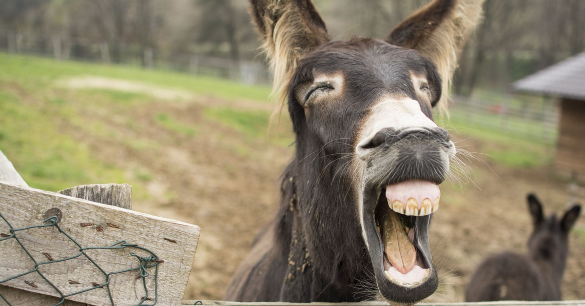 (Ý kiến) Plus Token không thể xả đống btc được.