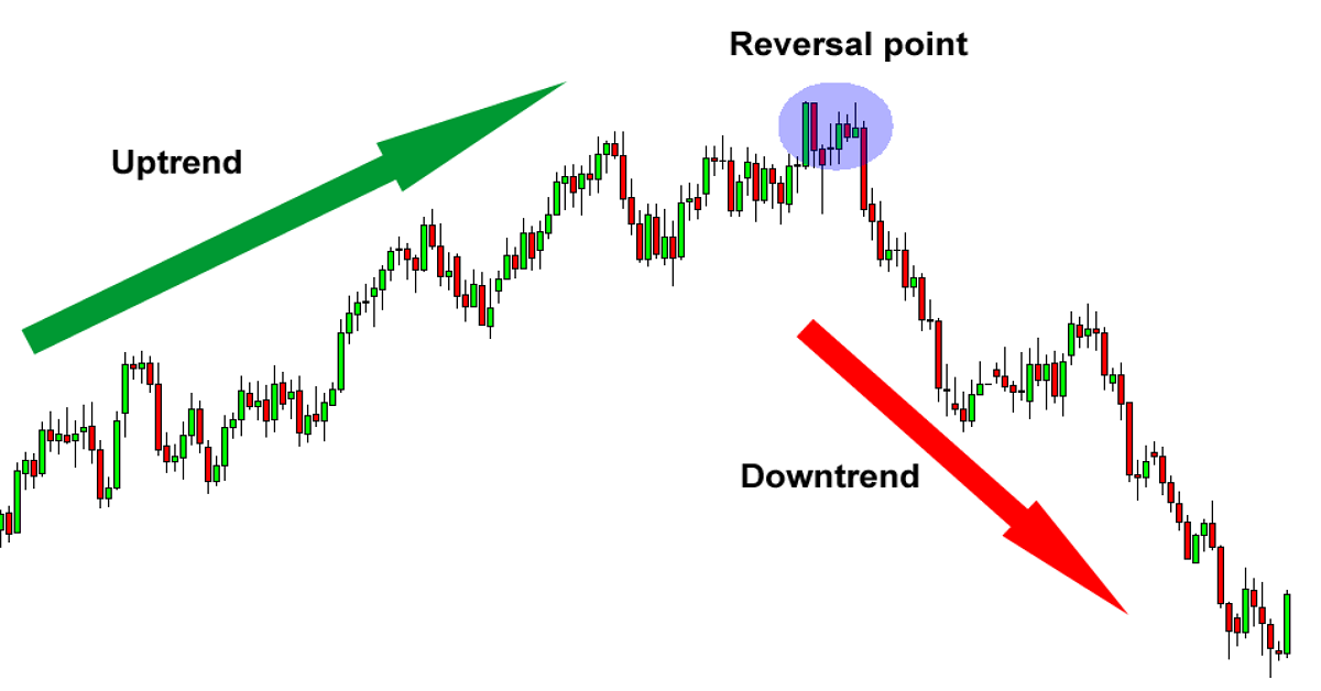 [Video clip] Hướng dẫn phân biệt Đảo chiều & Thoái lui