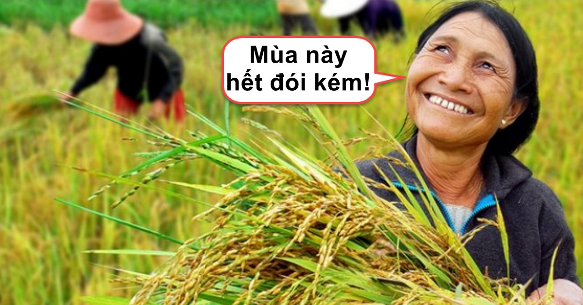 Xu hướng "thời vụ" trên thị trường Forex - Trader có muốn gặt hái một vụ mùa bội thu?