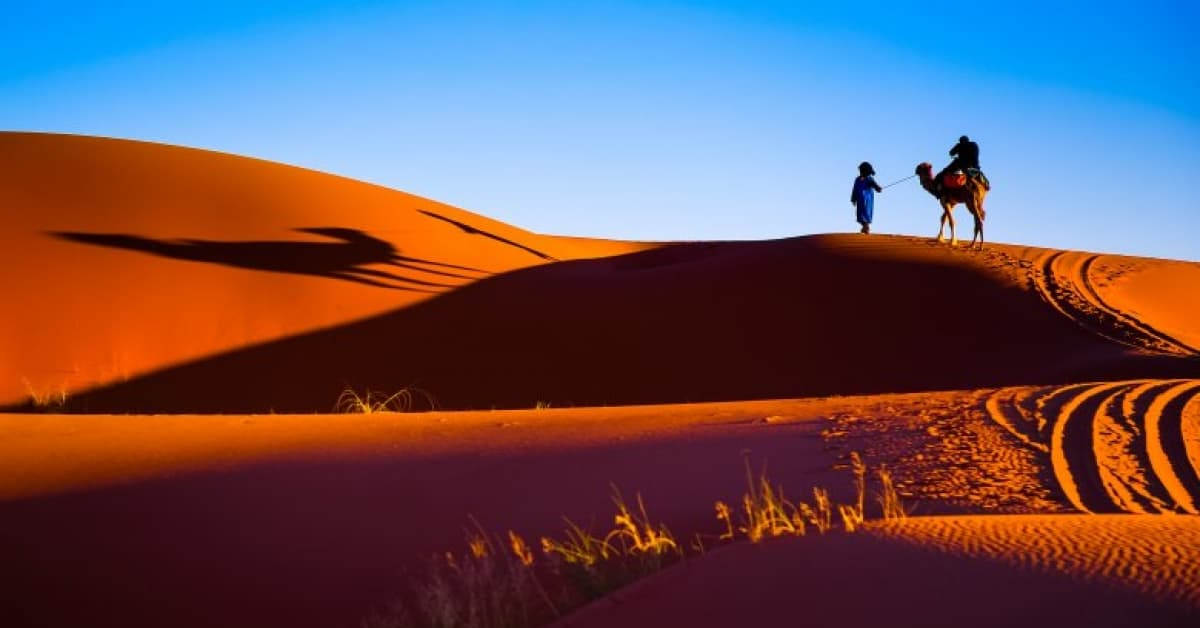 Trong trading, tại sao thực sự chúng ta nên tập trung vào quá trình chứ đừng chăm chăm vào kết quả!