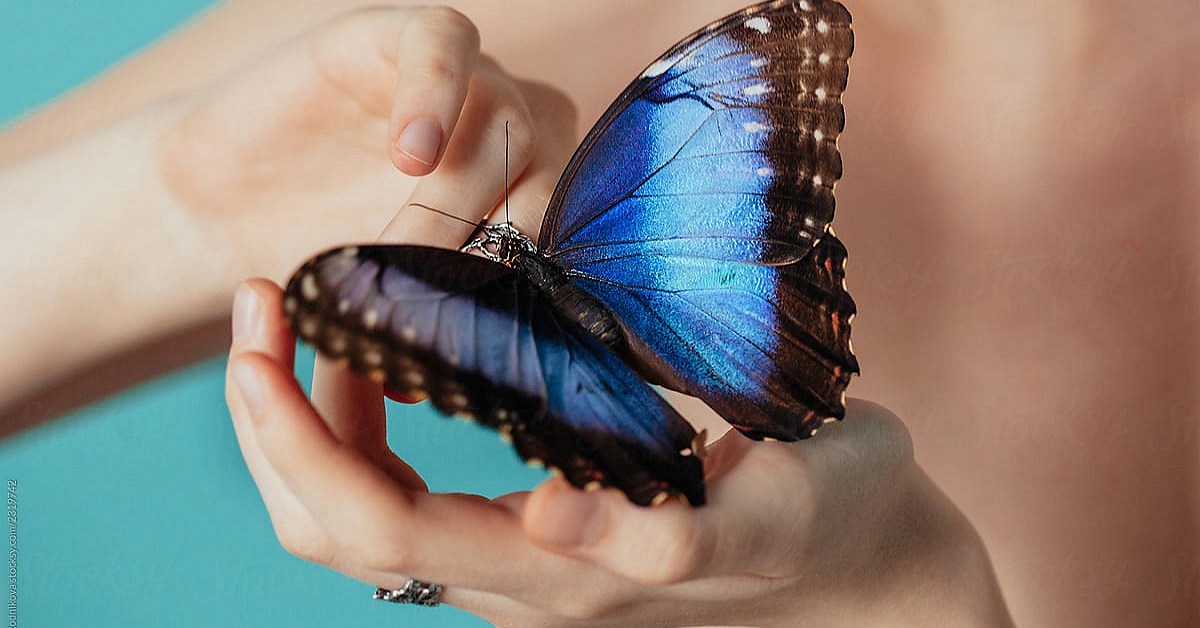 Mô hình sóng Harmonic - phương pháp giao dịch hiệu quả