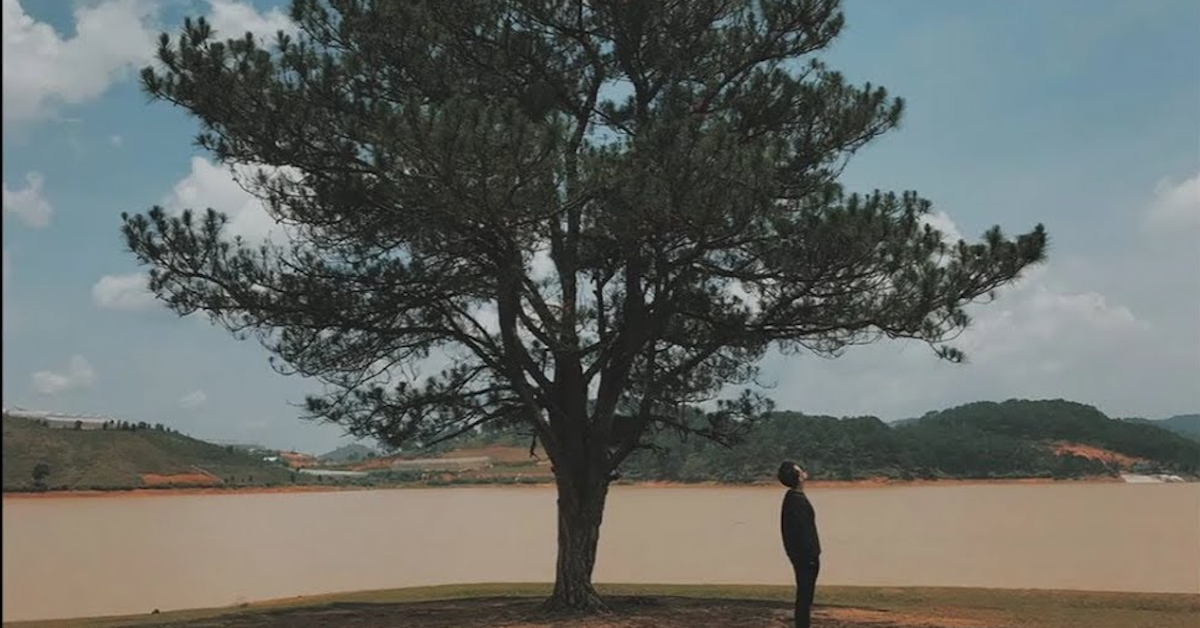 Hôm nay trade coin gì? - Ngày 07/10: Có chàng trai viết lên cây