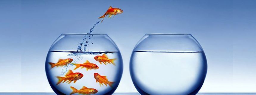 15 min Contrarian Scalping - Hệ thống giao dịch Scalping ngược dòng