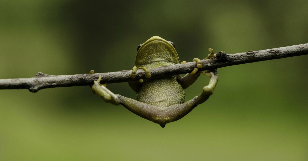 Trader Sài Gòn với Trader Hà Nội bây giờ ai khổ hơn?