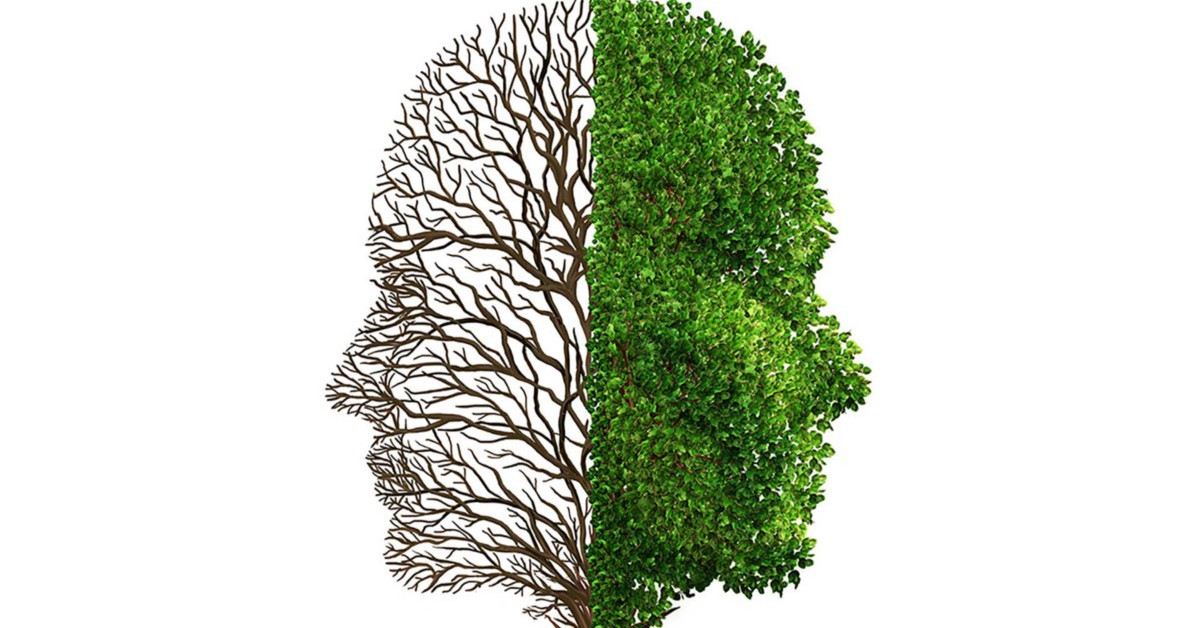 Tại sao trong trading, có rất nhiều thứ mà trader chỉ có thể "Ngộ" chứ không thể "Cầu"?