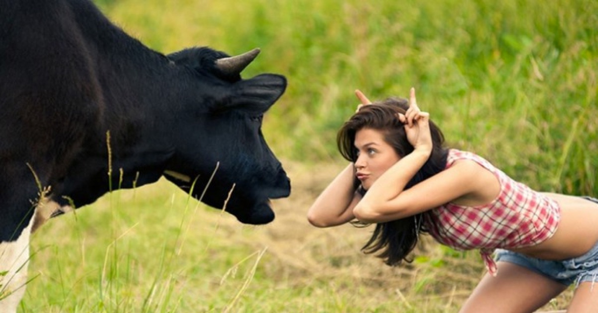 Trí tưởng tượng của Trader lợi hại ra sao?