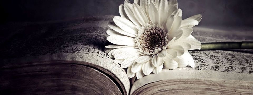 Kỷ niệm gặp Kathy Lien tại Việt Nam