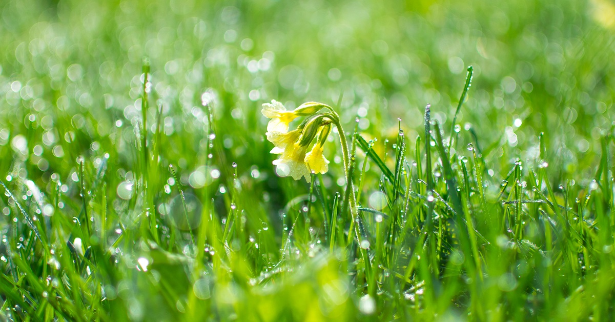 Thị trường crypto theo góc nhìn đồ thị P&F 06/01: Thời khắc giao dịch!