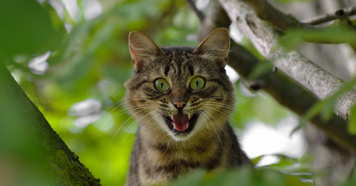 Những điểm CỰC KỲ THÚ VỊ trên biểu đồ Bitcoin trung hạn giúp chỉ ra khả năng sắp tới?