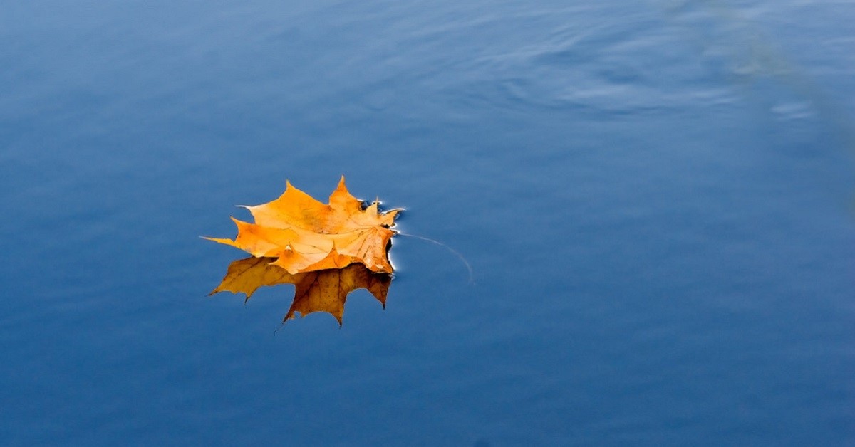 Thị trường crypto theo góc nhìn đồ thị P&F ngày 18/02: Xuôi theo xu hướng ngắn hạn!