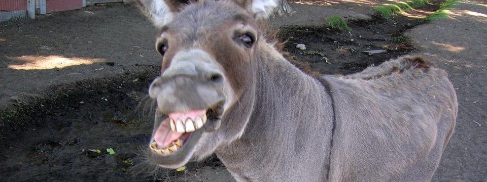 Forex Broker có thể chơi xấu Trader như thế nào? - Phần 5: Uy tín giả tạo