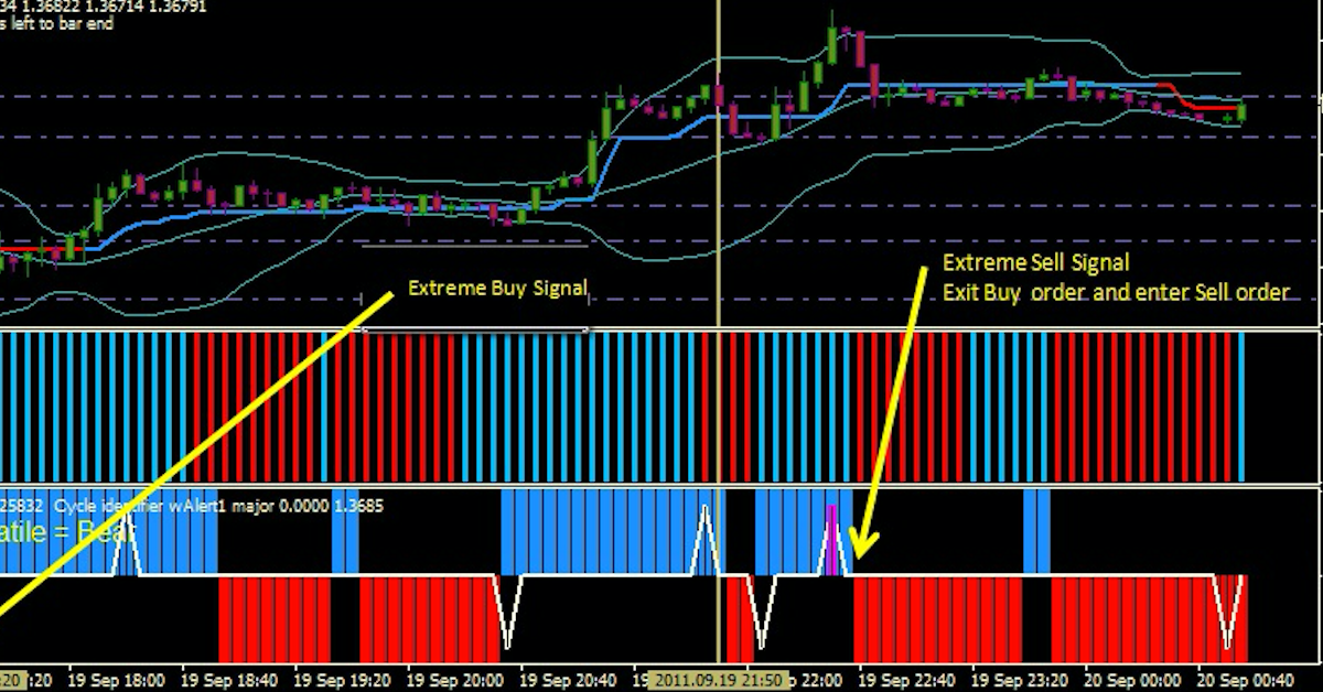 Hệ thống Symphonie Trader - Chiến lược tăng 5% mỗi tuần