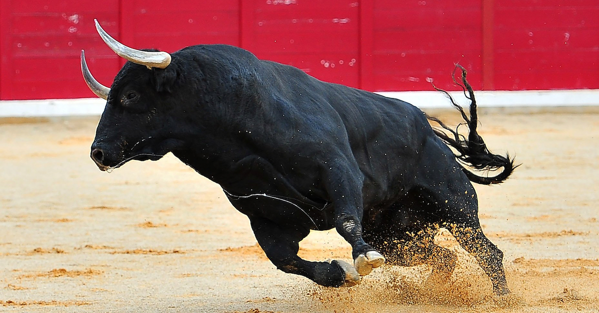 Hôm nay trade coin gì? - Ngày 28/05: Bò tấn công