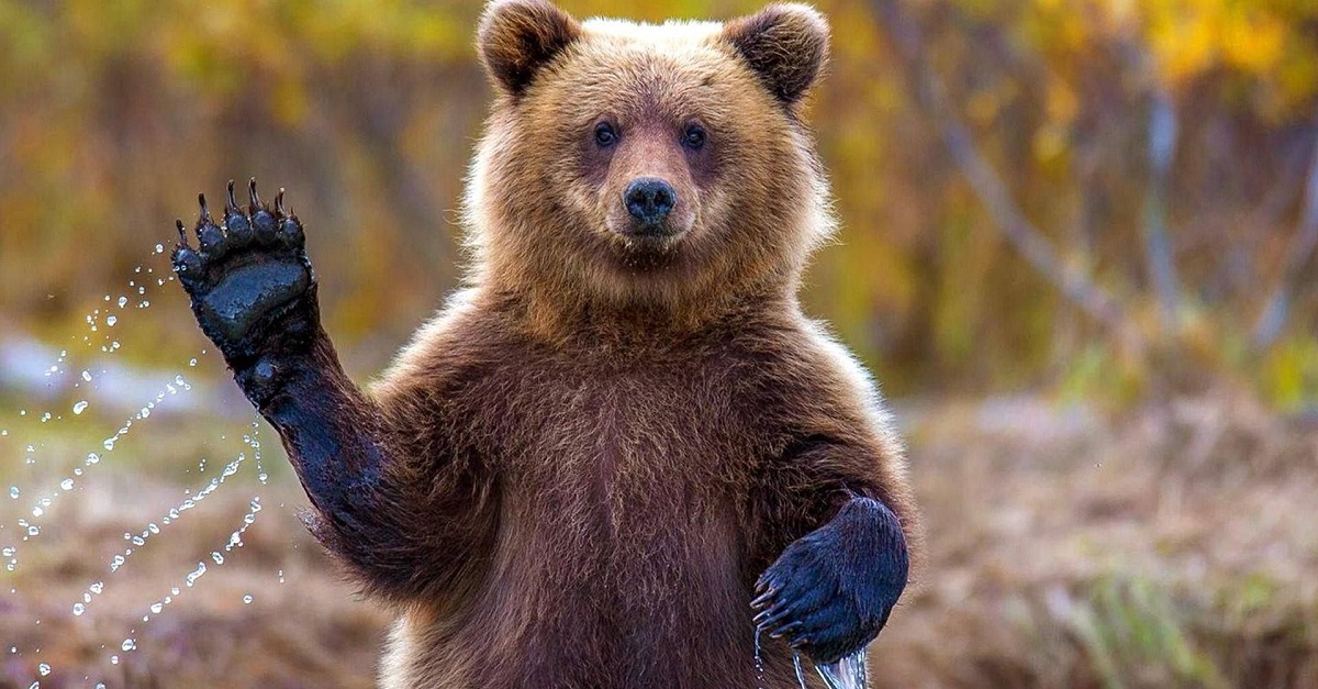 Thị trường crypto theo góc nhìn đồ thị P&F 19/06: Dấu hiệu tốt cho phe Gấu