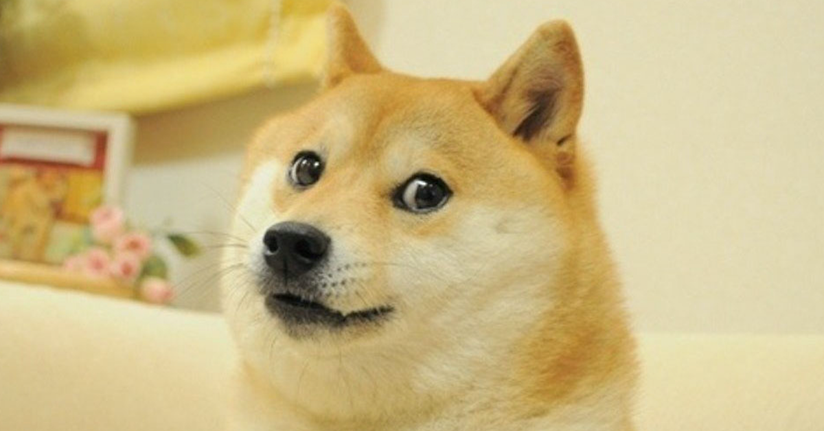 Mùa Altcoin đã đến chưa? Vài dấu hiệu nhận biết