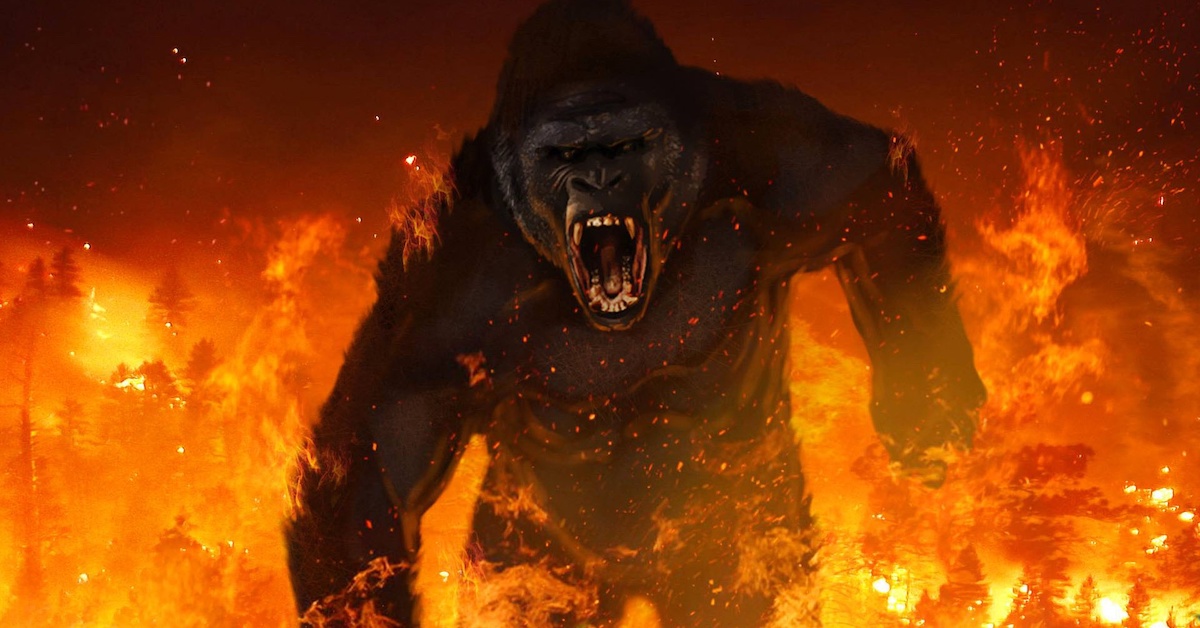 Hội chứng King Kong - Nguyên nhân vì sao trader lại CHÁY TÀI KHOẢN khi vừa THẮNG TO!