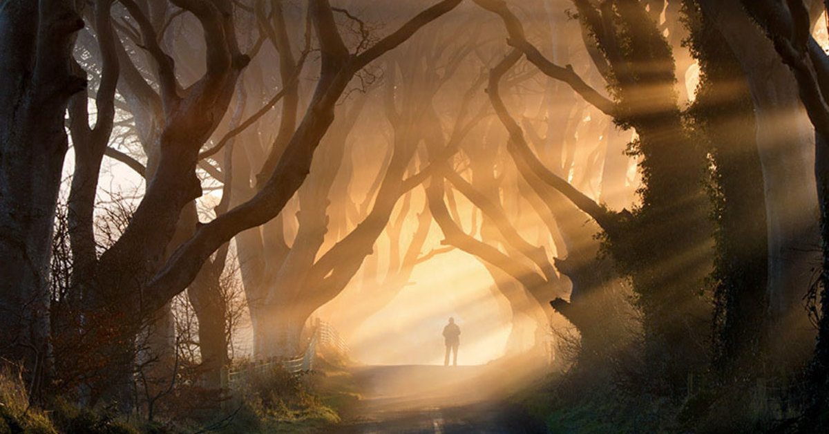 Thời điểm cho thấy trader bắt đầu thấy được "Ánh sáng phía cuối con đường"