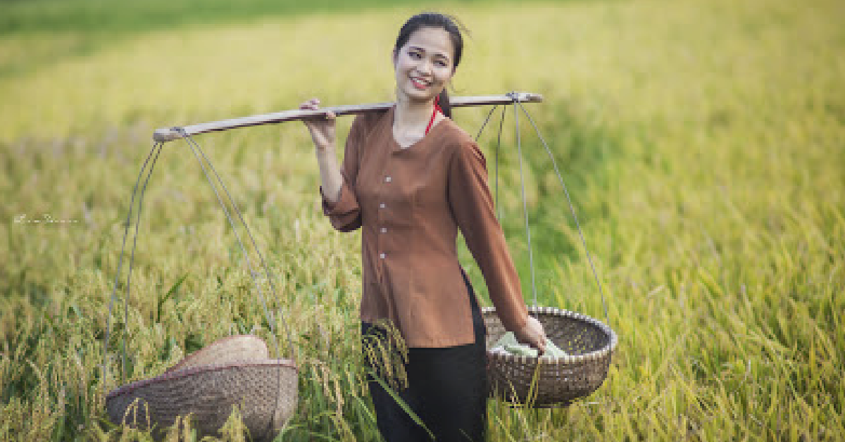 Hôm nay trade coin gì? - Ngày 18/8: Lúa đang chín, khoan hãy gặt