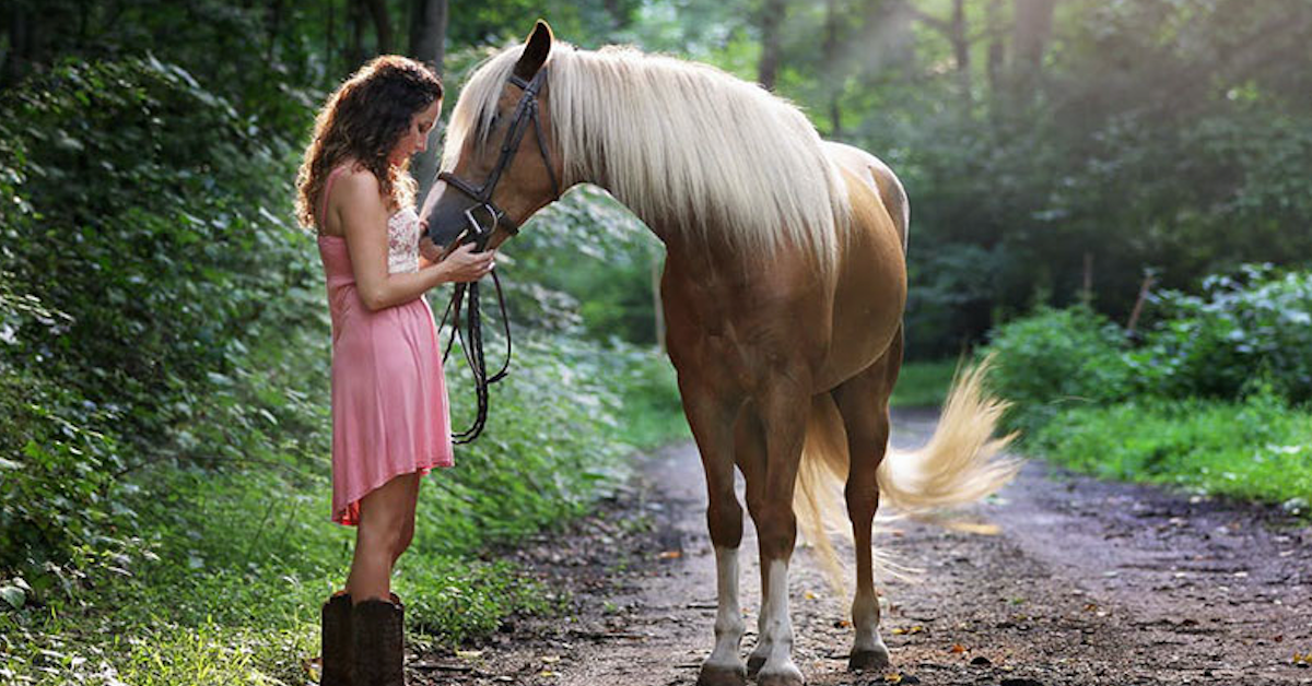 Hôm nay trade coin gì? - Ngày 28/8: Một con ngựa lạc đàn