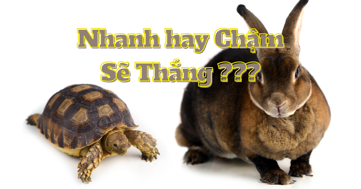 (Trader chia sẻ) Trading nhanh hơn, nhanh hơn nữa hay chậm hơn, chậm hơn nữa thì thành công hơn?