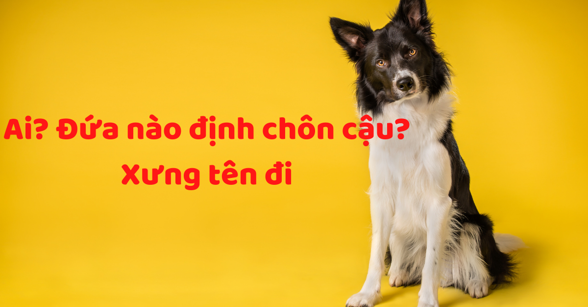 Phân tích Vàng trung hạn (22/09) - Cậu chưa chết, anh em đừng vội chôn cậu mà lầm