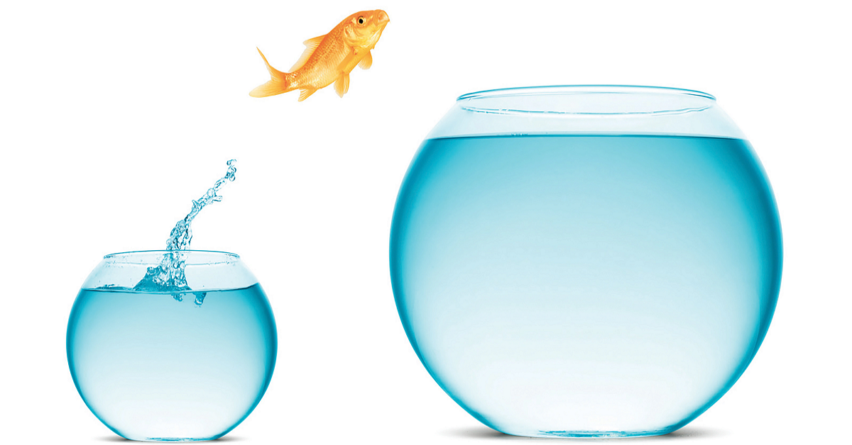 Giới trẻ Hàn Quốc chơi chứng khoán để nhanh giàu