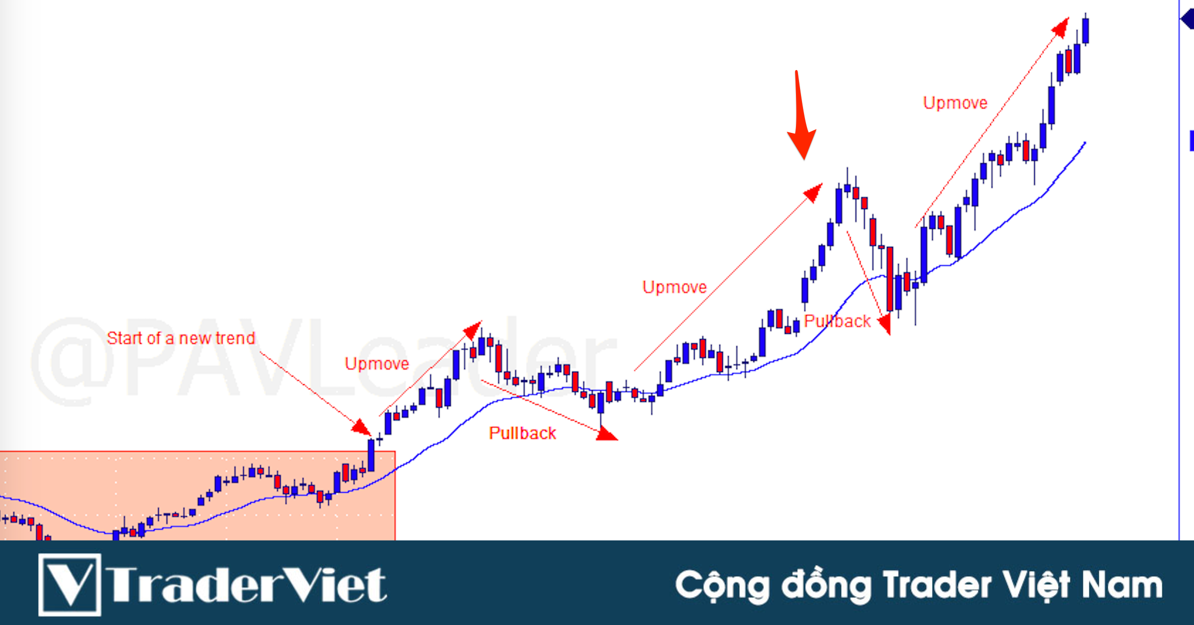 Thành thạo Price Action trong 30 ngày - Ngày 10: Hồi giá (pullback) vs đảo chiều (reversal)