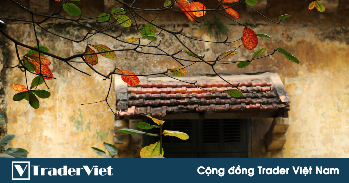 Nhật kí trader cờ bạc gạo – vào một ngày cuối thu Hà Nội