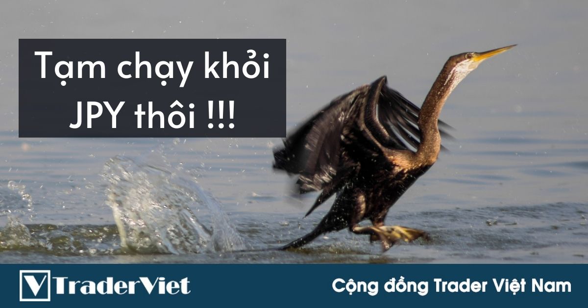 Vì sao nên ngưng mua JPY lúc này vì Moral Suasion?