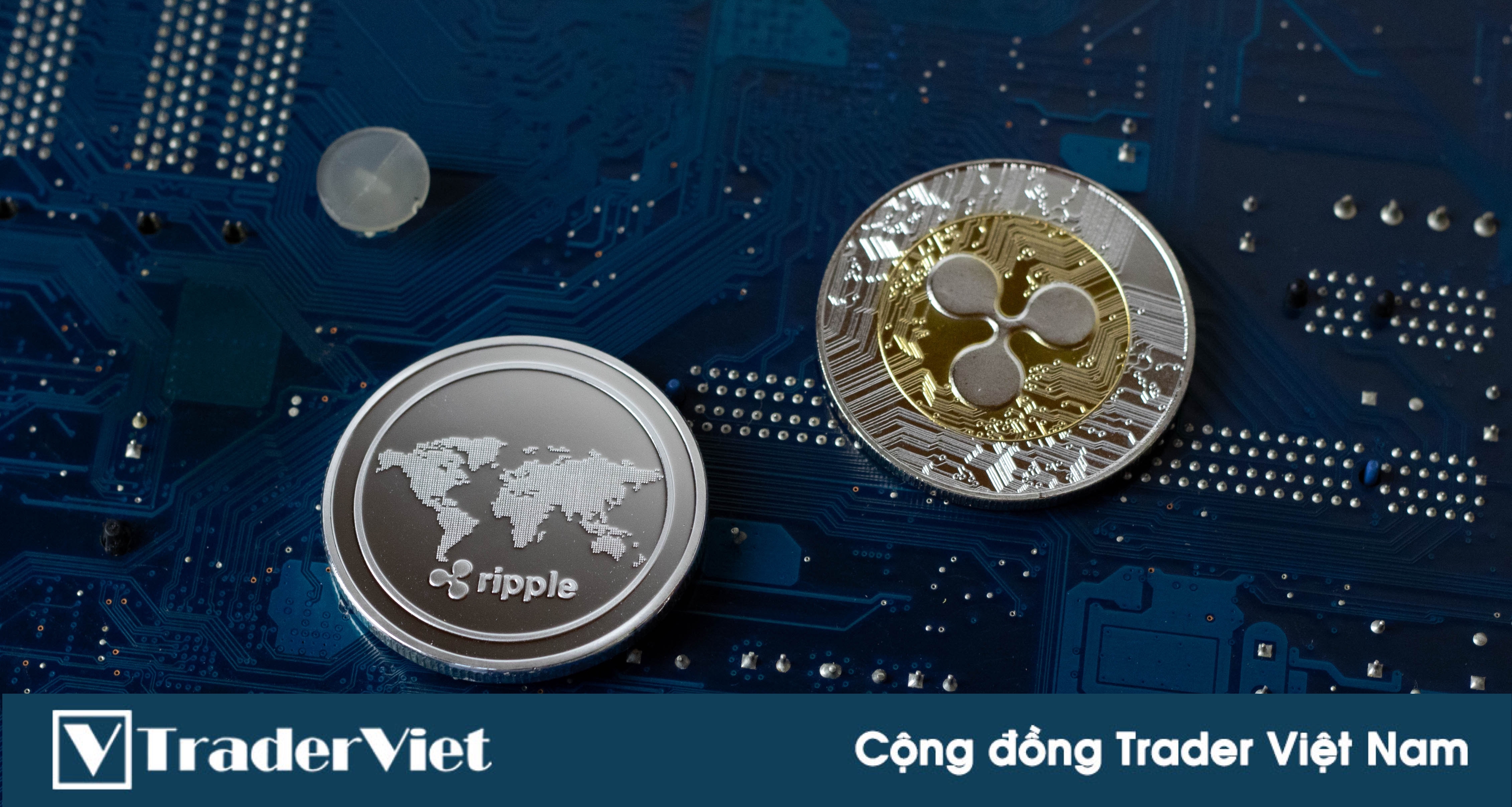 Giám đốc công nghệ của Ripple đã mất 300 nghìn đô la khi mua các altcoin rác