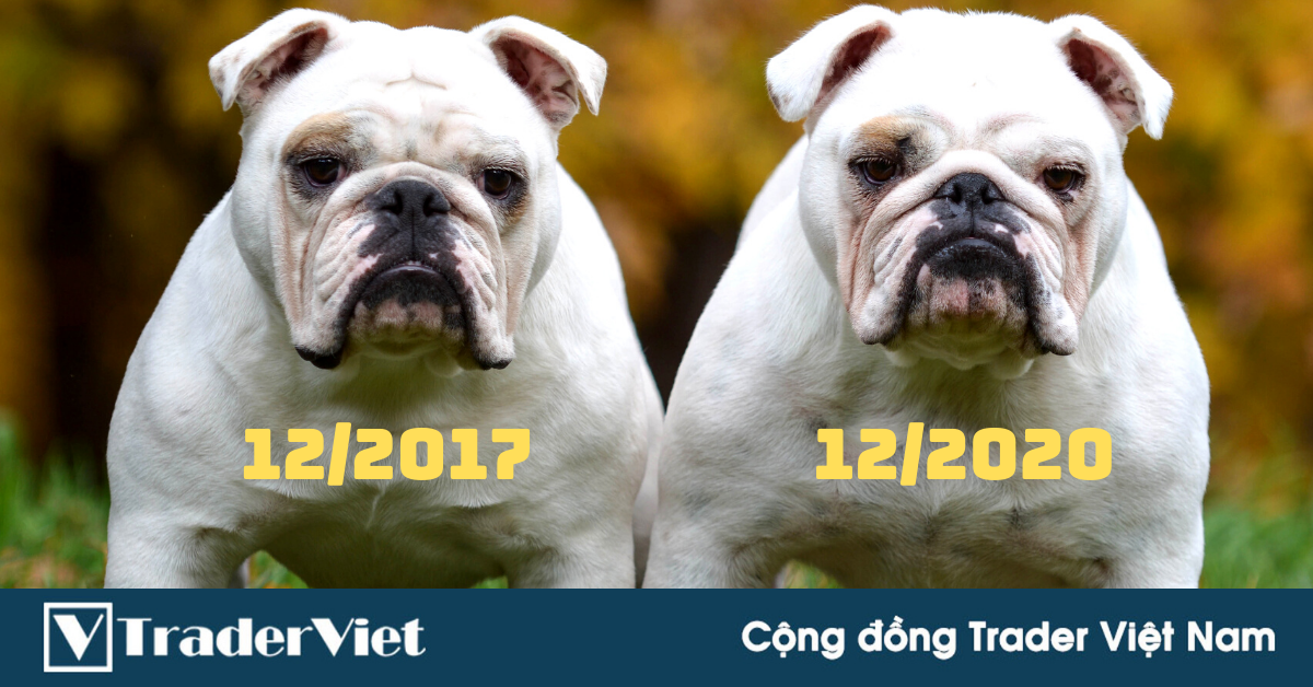 Phân tích Bitcoin (21/11) - 12/2020 liệu có phải là một phiên bản của 12/2017?