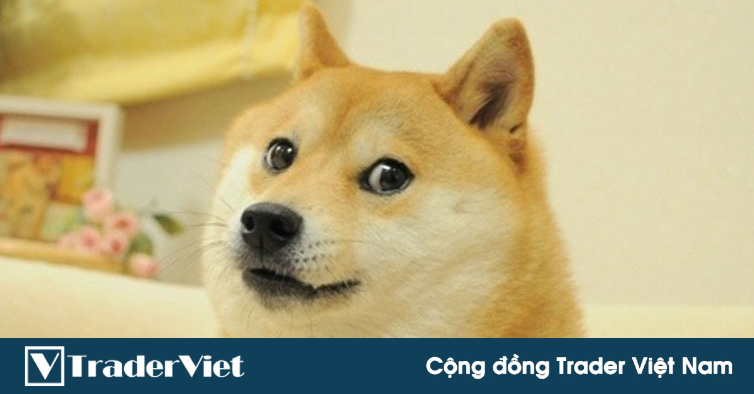 VÀNG Giảm Đến Đâu? Trader VÀNG Nên Mua Hay Bán?