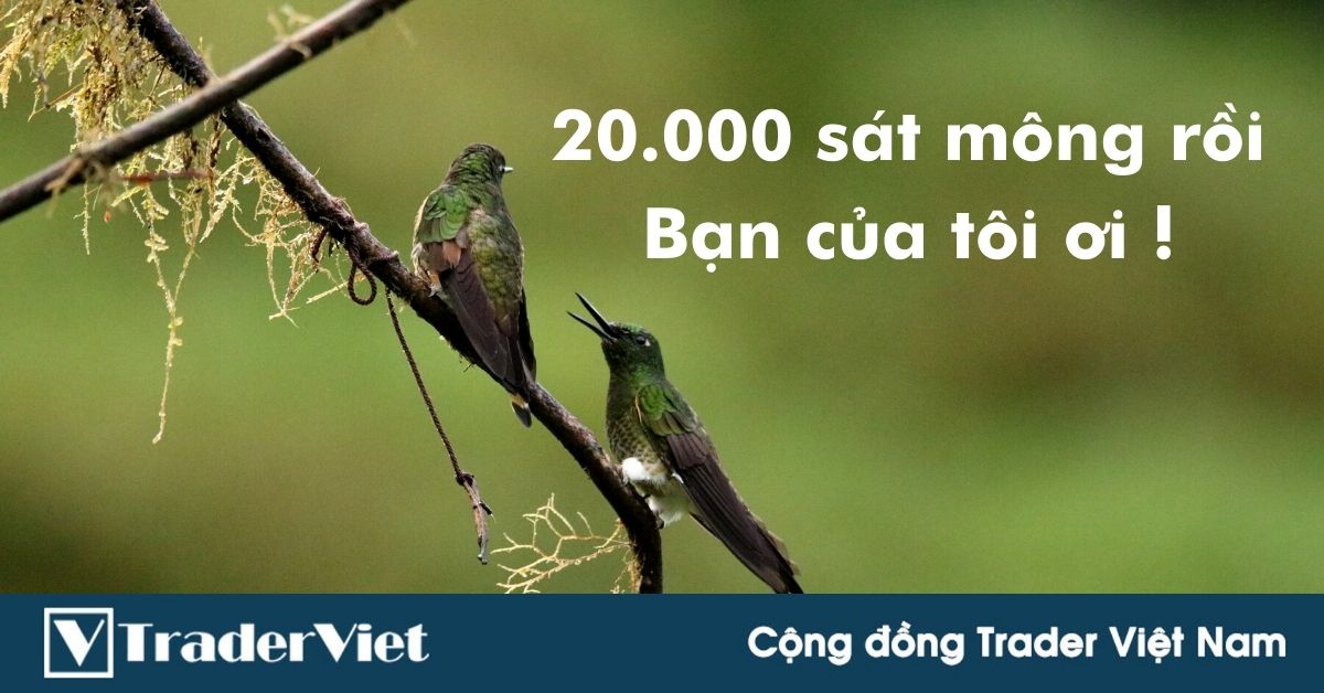 Bitcoin 20.000 đêm nay? Cần chú ý gì lúc này?