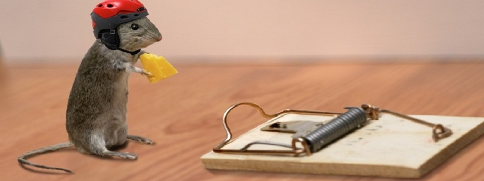 Những điều chứng minh bạn chưa sẵn sàng để trở thành Trader