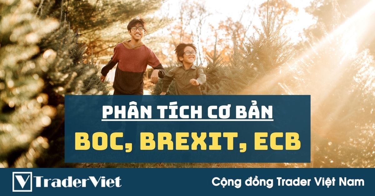 Phân tích cơ bản Forex ngày 09/12 - BoC, Brexit, ECB và những tâm điểm khác