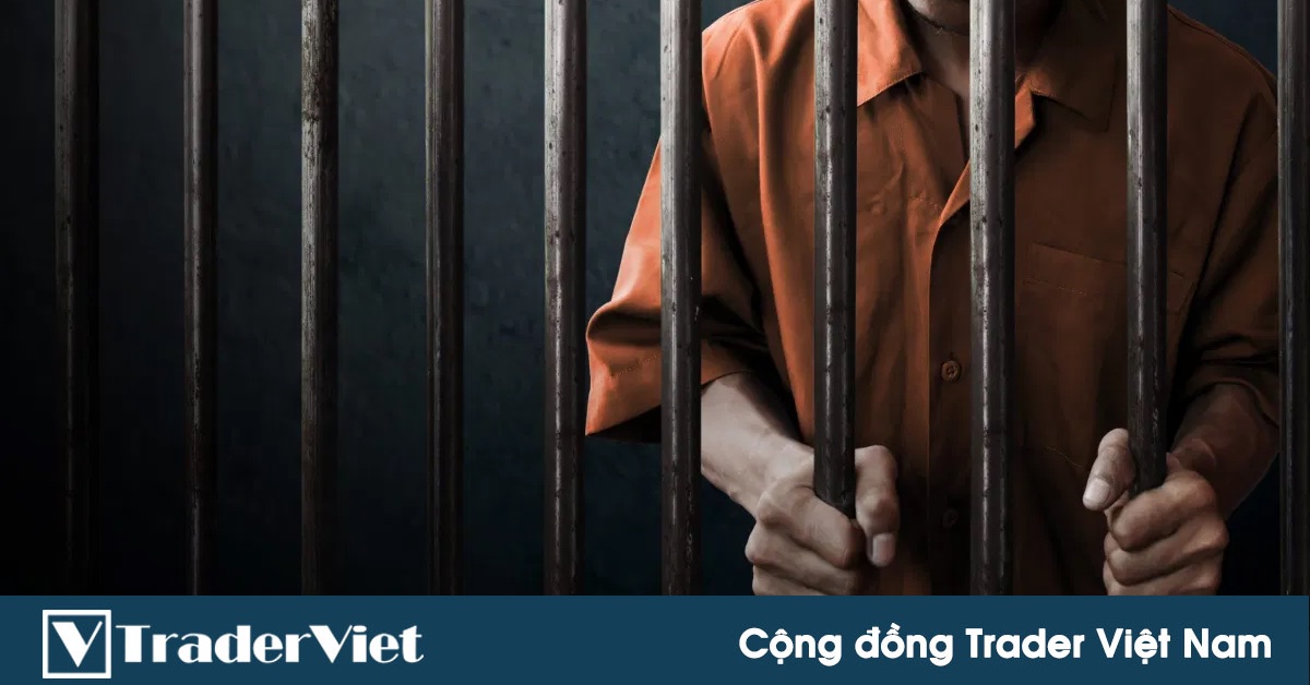 Dụ dỗ chơi Forex có thể bị phạt tù!