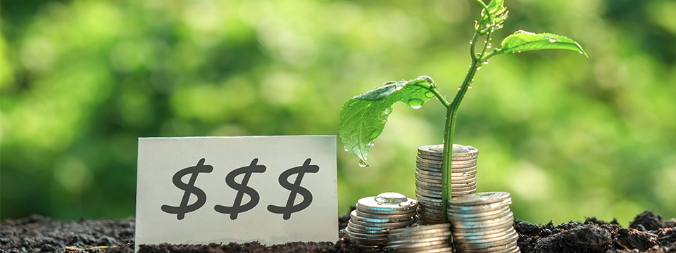 Kế hoạch giao dịch Quyền chọn Nhị phân của một Pro Trader