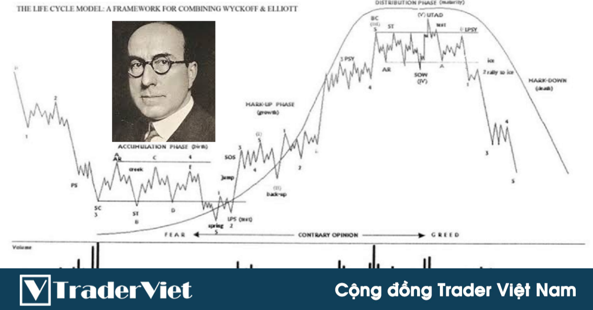 5 bước để anh em giao dịch như một Wyckoffian!