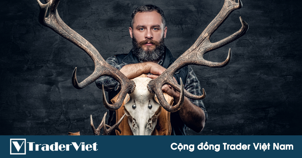 Đừng làm "thợ săn pip" nếu không muốn bị thua lỗ triền miên! Thay vào đó hãy làm điều này...