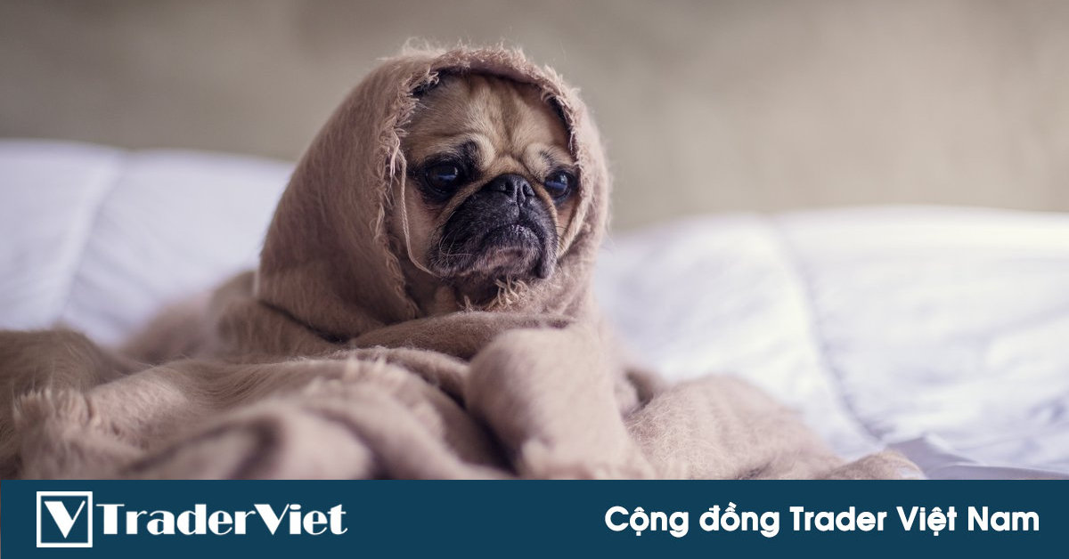 Hầu hết trader thua lỗ dành 95% thời gian cho những việc gì?