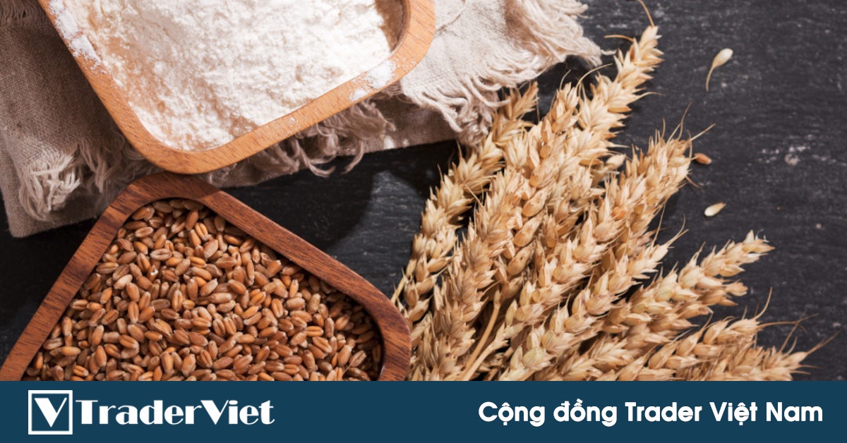 5 yếu tố để chiến thắng giao dịch Lúa Mỳ, bạn biết chưa?