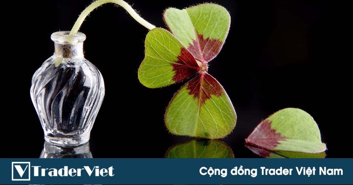 Làm Trader, đã ĐEN thì đừng SIÊNG