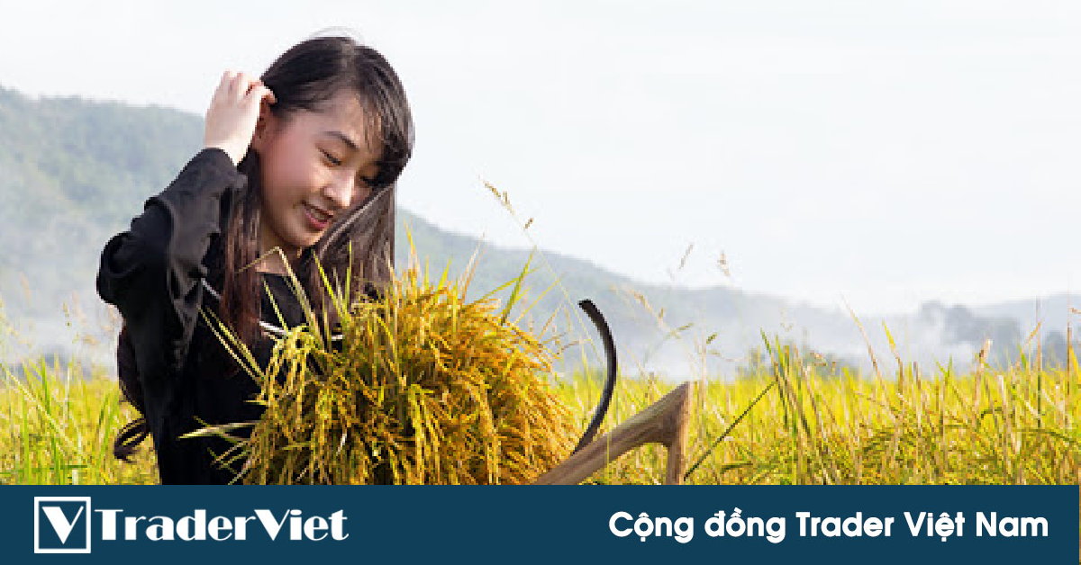 TOP 5 Altcoin đáng chú ý - Chuẩn bị cho vụ mùa lợi nhuận lớn - 28/12-4/1