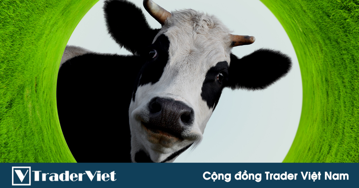 Nhận định thị trường crypto phiên 04/01: Bài toán mua, bán bò!