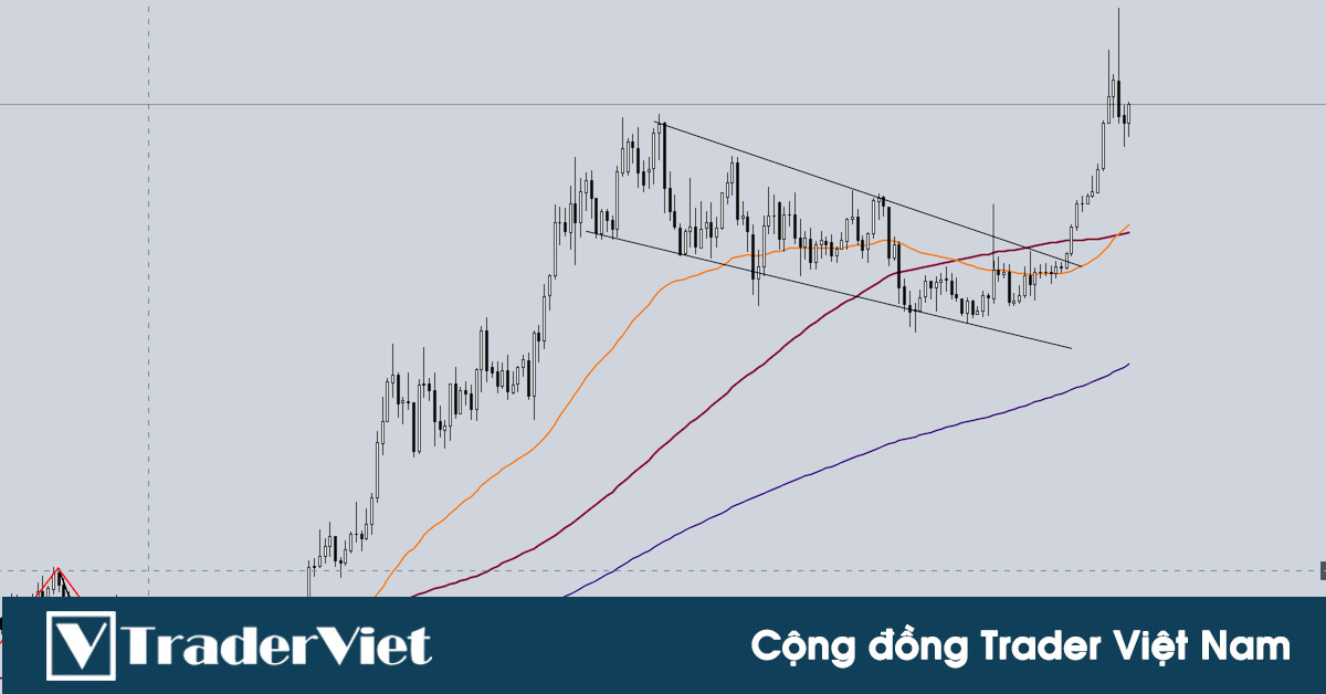 Đây là các indicator trader chuyên nghiệp dùng để bắt sóng lớn thị trường