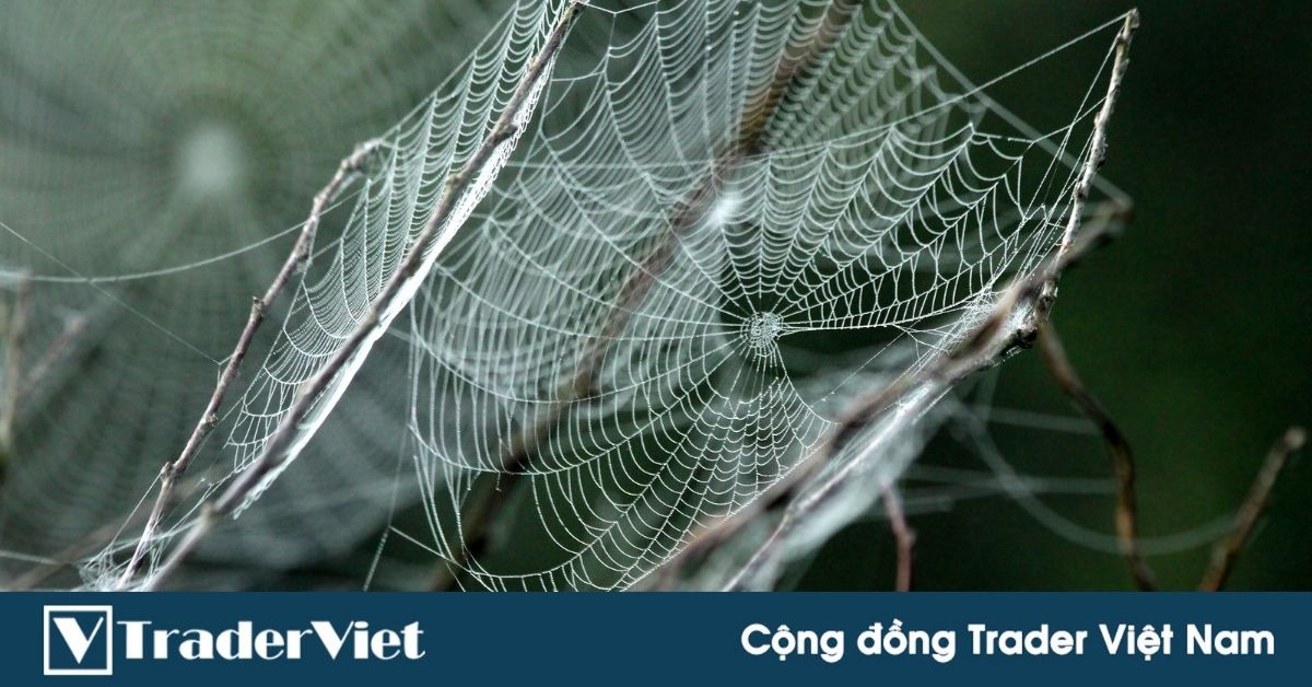 (Video Clip) VTV cảnh báo cạm bẫy từ giao dịch ngoại hối Forex