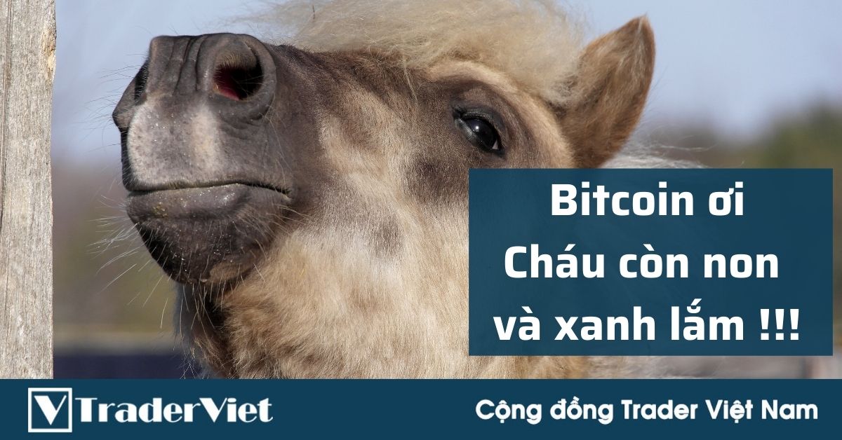 Anh em nghĩ Bitcoin là bong bóng? Xin lỗi, Bitcoin không có cửa so với sản phẩm Việt Nam này