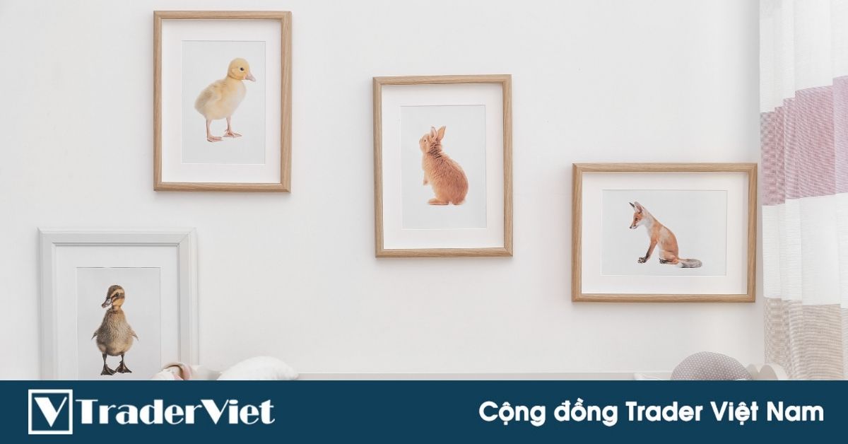 Trò chơi của Thỏ và Cáo: Trading thực chiến