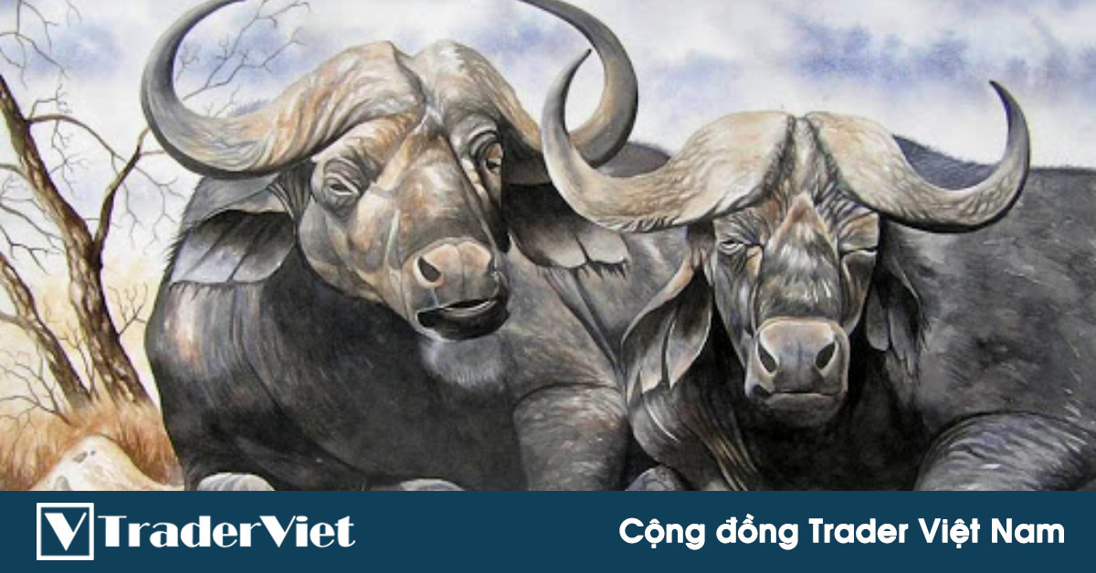 Nhận định thị trường crypto phiên 02/02: Trâu chậm uống nước đục!